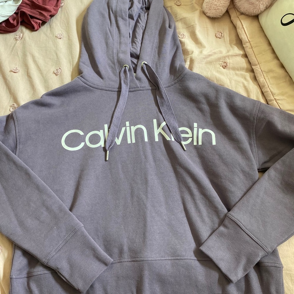 Calvin Klein Cropped Hoodie